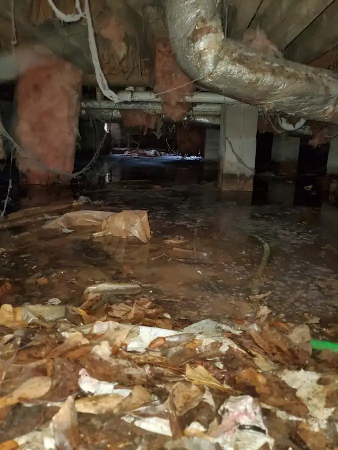 Crawl space flood assessment for Commercial Water Damage Restoration in St. Martin